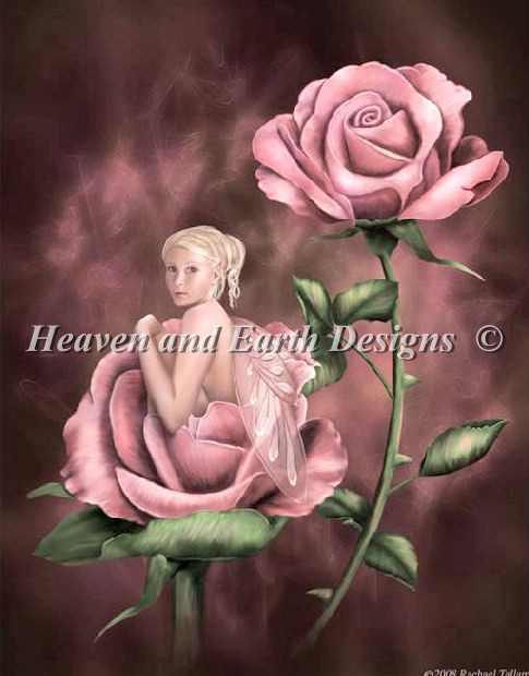 Mini Charmed Rose - Click Image to Close
